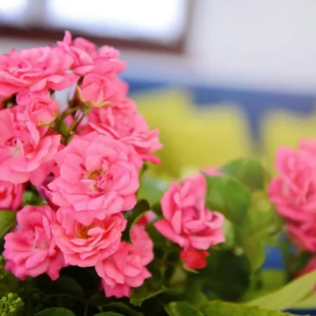 Kadum Center Near The Guest house 3*